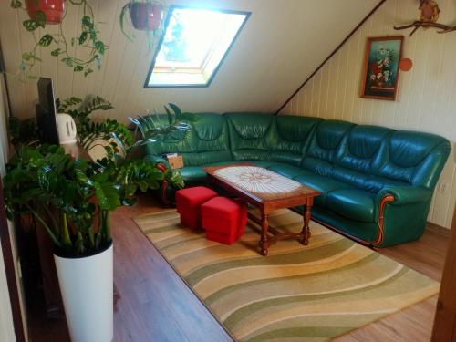 BurniszkiAgroturystyka u Basi的客厅配有绿色沙发和桌子