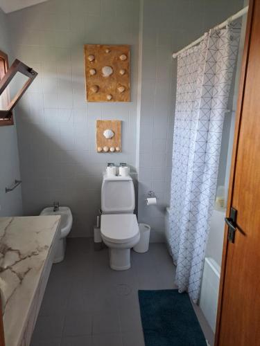 拉布鲁吉Labruge Ocean View的一间带卫生间和水槽的小浴室