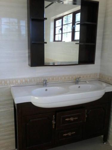 弗朗西斯敦EE Maison Bed and Breakfast的一间带水槽和镜子的浴室