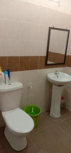 马兰Homestay Humair的一间带卫生间、水槽和镜子的浴室