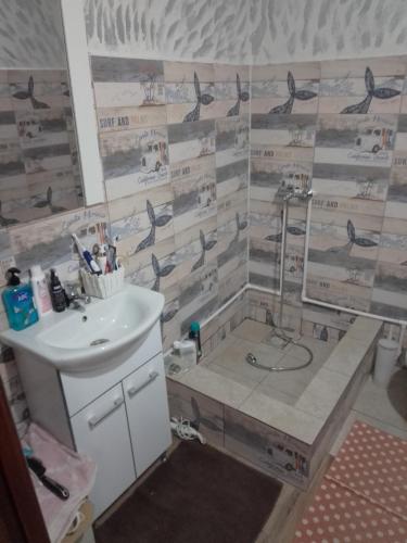 GiurgiuCasa Mocanu的浴室设有水槽和墙上的鸟淋浴。