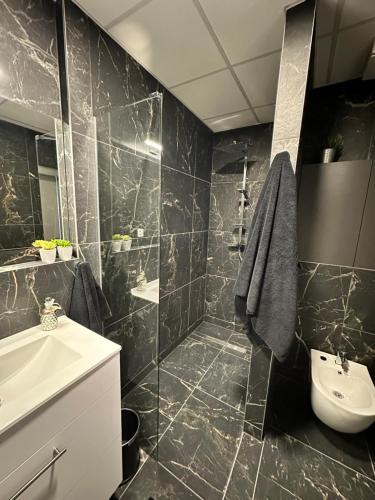 多瑙斯特雷达Rivapark的黑色瓷砖浴室设有水槽和卫生间