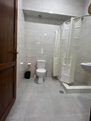 茨卡尔图博Guest House Kolkha的一间带卫生间和水槽的浴室