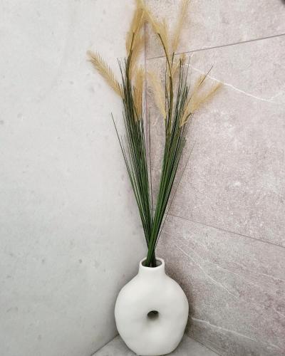 埃尔莫波利斯Evangelia's Cozy House的白色花瓶,里面装有植物