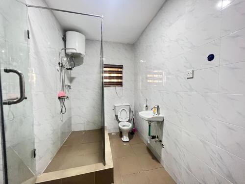 拉各斯CampDavid Luxury Apartments Ajao Estate Airport Road Lagos 0 8 1 4 0 0 1 3 1 2 5的浴室配有卫生间、盥洗盆和淋浴。