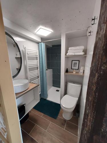 锡亚涅河畔圣塞宰尔Les Pierres de Cézaire的浴室配有卫生间、盥洗盆和淋浴。