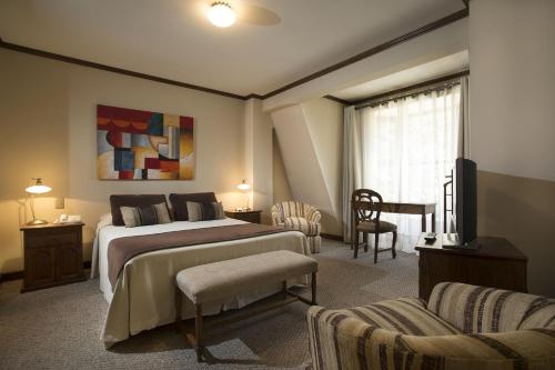 蓬塔阿雷纳斯迪拉德尔菲格酒店的一间卧室配有一张床、一张书桌和一台电视