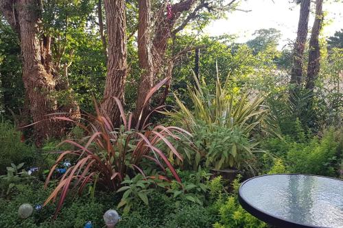 BirchLauriston Stay的一个带桌子和一些植物的花园