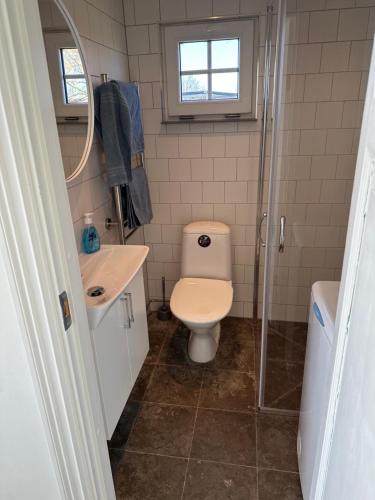 赫尔湾Sjöstugor med SPA i Höllviken的浴室配有卫生间、盥洗盆和淋浴。