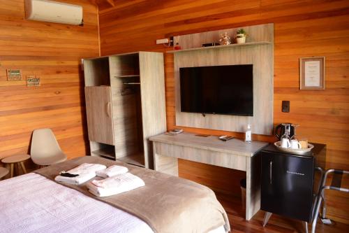 圣若阿金Pousada Querência Tarumã的一间卧室配有一张床、一张书桌和一台电视