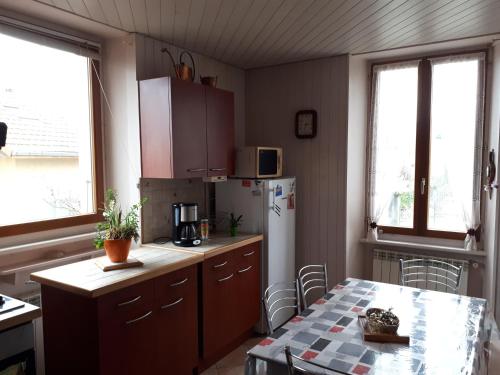 福龙河畔拉罗什Appartement La Roche sur Foron的厨房配有桌子和冰箱