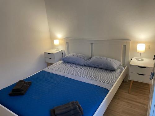 莫内利亚Cà di Giaco lodge的一间卧室配有一张带蓝色床单的床和2个床头柜。