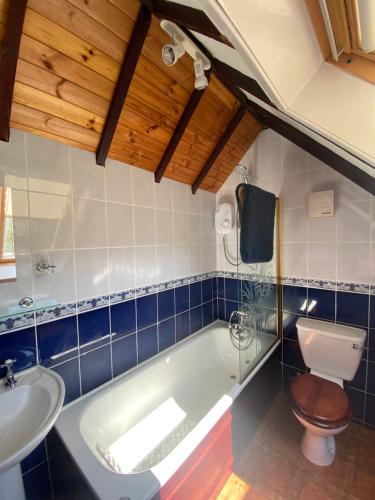 斯特灵Loch Arklet House的带浴缸、卫生间和盥洗盆的浴室