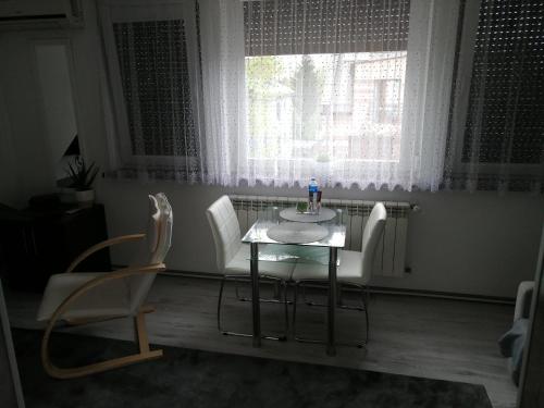 斯卡维纳Apartament Skawina的窗户客房内的桌椅
