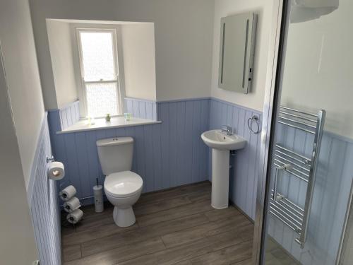 圣奥斯特尔康沃尔公爵酒店的蓝色的浴室设有卫生间和水槽