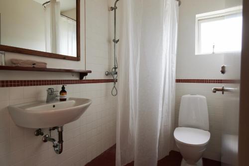 Sólheimar索海姆生态村旅馆的一间带水槽、卫生间和淋浴的浴室