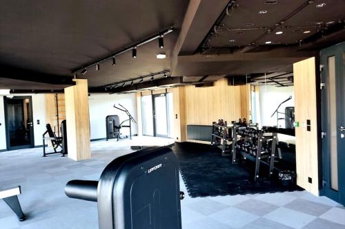 格但斯克Gdańsk Porto Apartments的大型客房内的健身房配有有氧器材