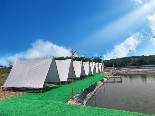 芹蒢SAY Camp Forest的一排排紧靠水体的帐篷