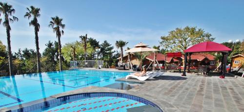 西归浦市济州我有酒店度假村 的棕榈树度假村的游泳池