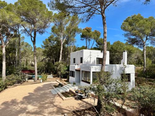 圣塔格鲁迪斯Spacious & Luxury villa in centre Ibiza的树中间的白色房子