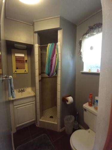 Happy CampBigfoot RV & Cabins Park的带淋浴、卫生间和盥洗盆的浴室