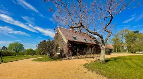 维耶尔宗Charnay Mery , une exceptionnelle maison de vacances au calme côté forêt avec piscine的土路旁的石头房子,有树