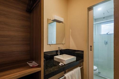 圣路易斯Hotel Santos Dumont Aeroporto SLZ的一间带水槽和镜子的浴室