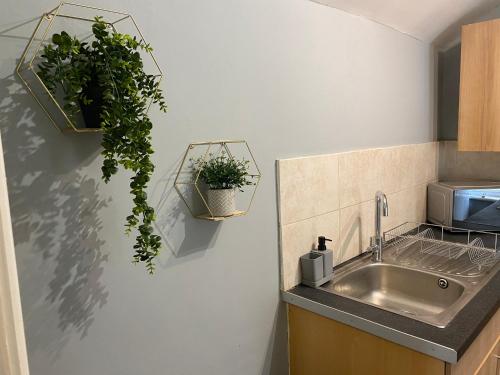 科尔温湾Aspen House - Apartment 3的厨房设有水槽和墙上的盆栽植物
