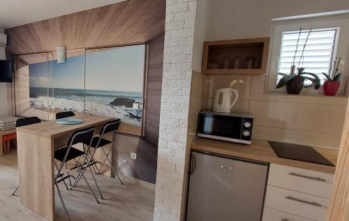 巴什卡沃达Apartman Saric K&M的厨房配有柜台和带微波炉的桌子