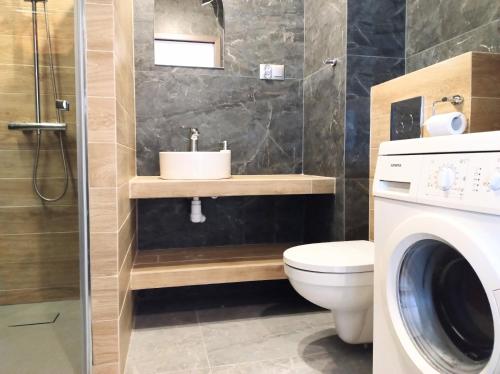 威利兹卡Garden Apartment的浴室配有卫生间、盥洗盆和洗衣机。