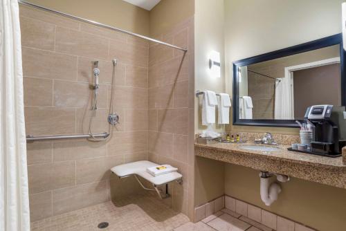 查尔梅特莎尔梅特贝斯特韦斯特PLUS酒店的带淋浴、卫生间和盥洗盆的浴室