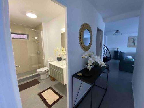 帕皮提Iaorana Pamatai accomodation的一间带水槽、卫生间和镜子的浴室