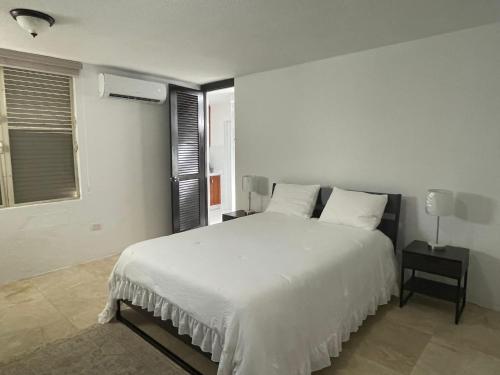 圣胡安CasaMar House Whit Pool 3 Bedrooms 3 Bathrooms的卧室设有一张白色大床和一扇窗户。