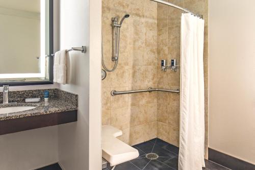 卡拉马祖卡拉马祖福朋喜来登酒店的带淋浴、卫生间和盥洗盆的浴室
