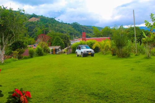 NorcasiaHotel Casa de Teja的停在绿草丛中的白色卡车