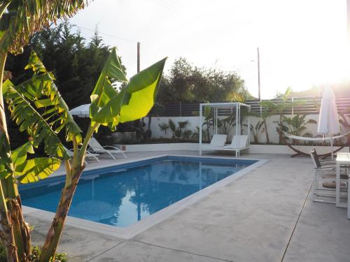 阿克罗蒂Luxury Getaway in Zante-Eliá Luxury Villas的庭院内的游泳池,配有椅子和桌子