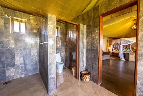 巴纳吉塞伦盖蒂狩猎山林小屋的带淋浴和卫生间的浴室以及一间卧室。