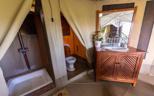 巴纳吉塞伦盖蒂角马豪华帐篷的一间带水槽和卫生间的小浴室