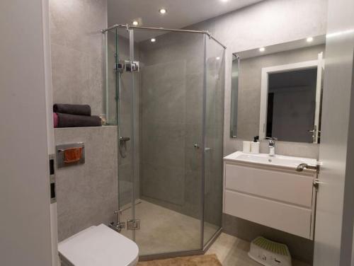 索非亚Georgi's 1 Bedroom Quiet Apartment with Garage的带淋浴、卫生间和盥洗盆的浴室