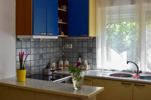 萨拉米斯Μονοκατοικία δίπλα στην Θάλασσα的厨房配有蓝色橱柜和花瓶,位于柜台上