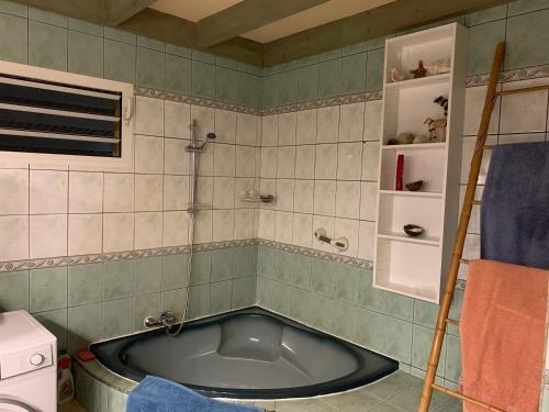 厄唐萨雷Le Dodo Salé的一间带浴缸的浴室