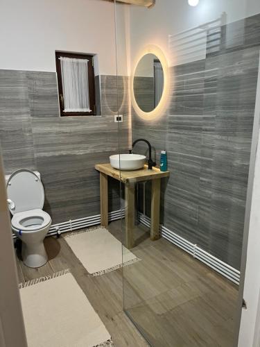 BorsaCăsuța lui Gogu的一间带水槽、卫生间和镜子的浴室