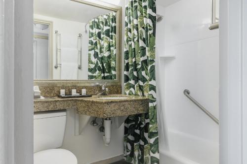 迈阿密迈阿密市中心港口假日酒店的一间带水槽和镜子的浴室