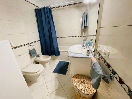 圣米格尔德阿沃纳Mona's Point Tenerife的一间带卫生间和水槽的小浴室
