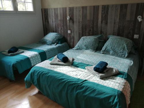 Mailhac-sur-BenaizeAux Berges du Lac de Mondon的客房内的两张床和毛巾