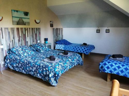 Mailhac-sur-BenaizeAux Berges du Lac de Mondon的配有蓝色床单的客房内的两张床