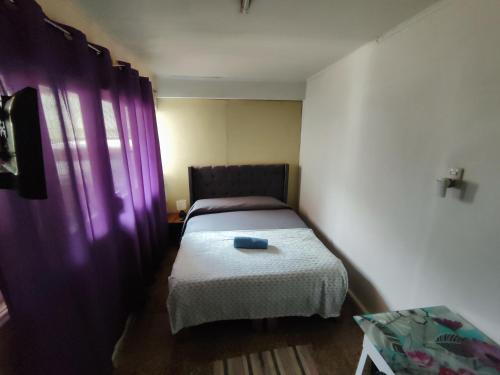 圣地亚哥VidaNatural的一间小卧室,配有一张床和紫色窗帘