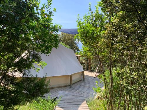 科蒂基亚瓦里Corsica Natura #2的树中间的大白色帐篷