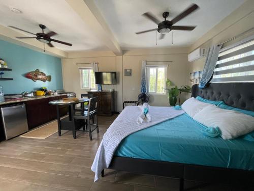 库尔克岛Costa Nube的一间带蓝色床的卧室和一间厨房