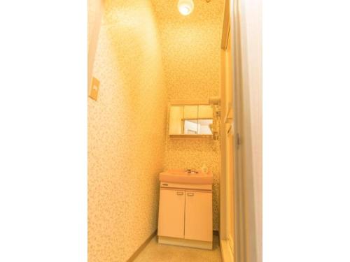 日光Nikko Park Lodge - Vacation STAY 15302v的一间带水槽和镜子的小浴室